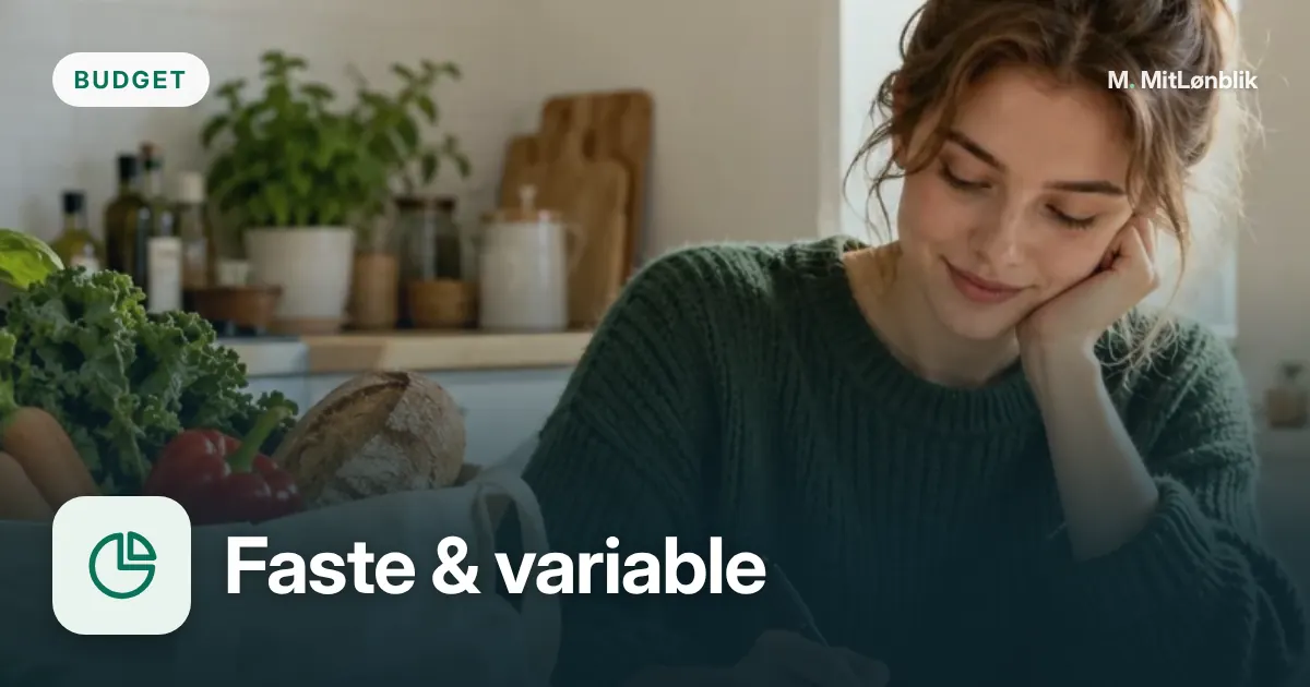 Illustration til Faste og variable udgifter i budgettet